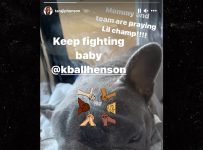 Taraji P. Henson Says Her French Bulldog is Fighting for Its Life