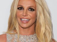 Britney Spears gives fans a mental health update