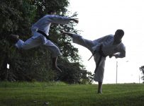 Why Is Karate and Other Chinese Martial Arts Not Used in MMA?