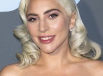 Lady Gaga’s dognappers had no idea pets belonged to singer – Music News