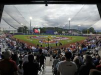 Little League World Series is Back in Business