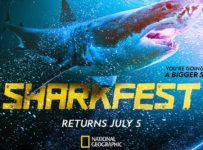 Insane Sharkfest Lineup Includes Shark Beach with Chris Hemworth