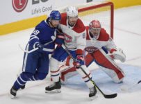 How To Buy The Cheapest Toronto Maple Leafs Tickets