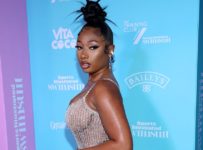 Megan Thee Stallion’s Sexy Dress at Sports Illustrated Party
