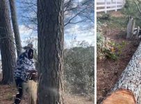Rick Ross Cuts Down His Own Trees on Atlanta Property, Saves $10k