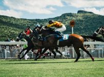 How To Get Into Horse Racing (And Why You Should)