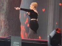 Adele Performs at London’s BST Hyde Park Festival, Stops Show to Help Fans